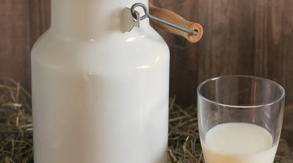 الحليب مشروب غني بالعناصر الغذائية ويمد الجسم بالبروتين والكالسيوم (بيكساباي)