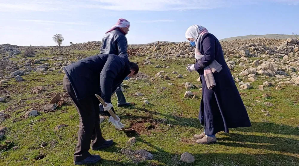 تفقد الأضرار الناجمة عن عمليات الرش الإسرائيلية في قرى الشريط الفاصل يناير الماضي (مديرية زراعة القنيطرة)