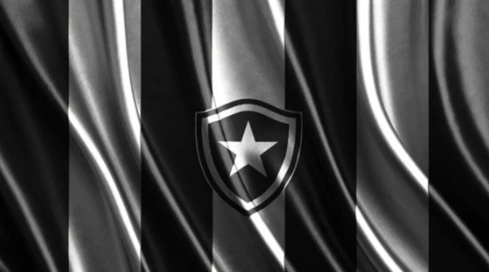 بوتافوغو البرازيلي يقاضي ليون الفرنسي (نادي بوتافوغو)