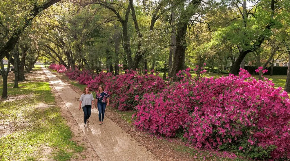 التعرض للهواء الطلق يعزز المزاج ويزيد الطاقة (جامعة رايس)