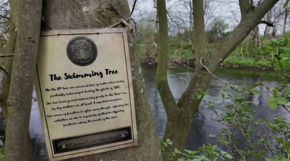 لكلّ شجرة حكاية... إذا أصغى إليها الخيال (مجلس هاكني)