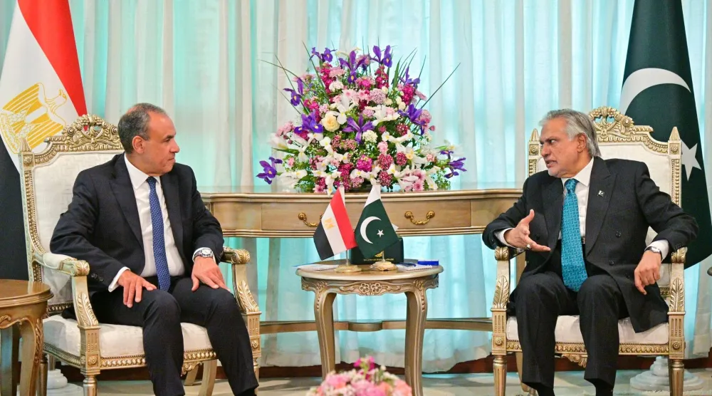 وزيرا خارجية باكستان ومصر خلال لقاء سابق تناول الأوضاع الإقليمية وجهود التهدئة في حرب إيران («الخارجية» المصرية)