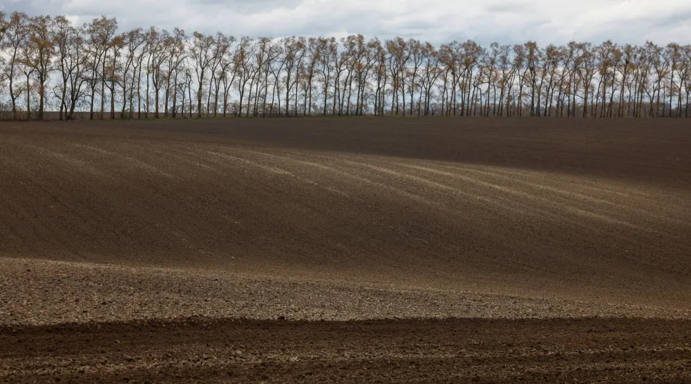 حقل مُجهّز لزراعة الحنطة السوداء في قرية مالوبولوفيتسكي في كييف (رويترز)