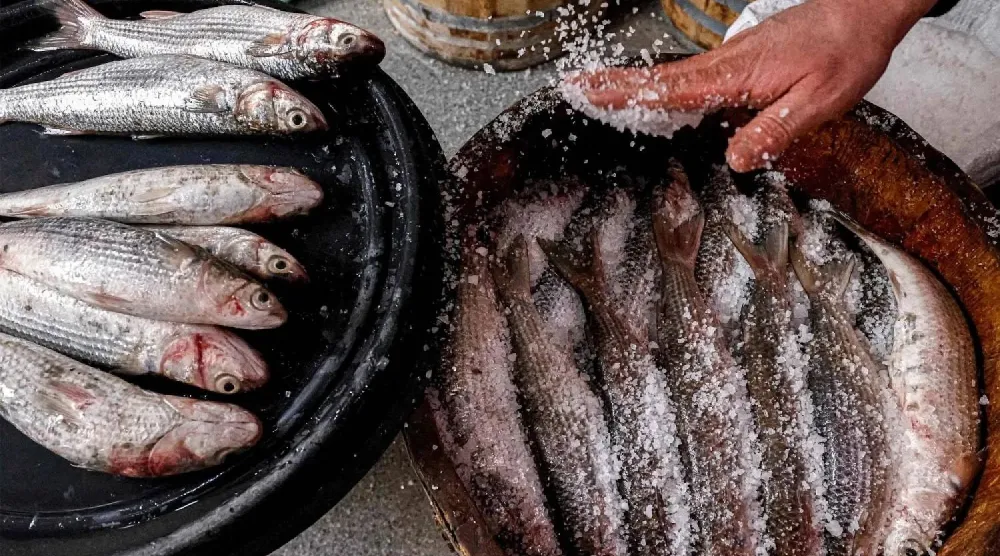 بائع يحضر أسماك البوري المملحة «الفسيخ» لاحتفالات «شم النسيم» (رويترز)