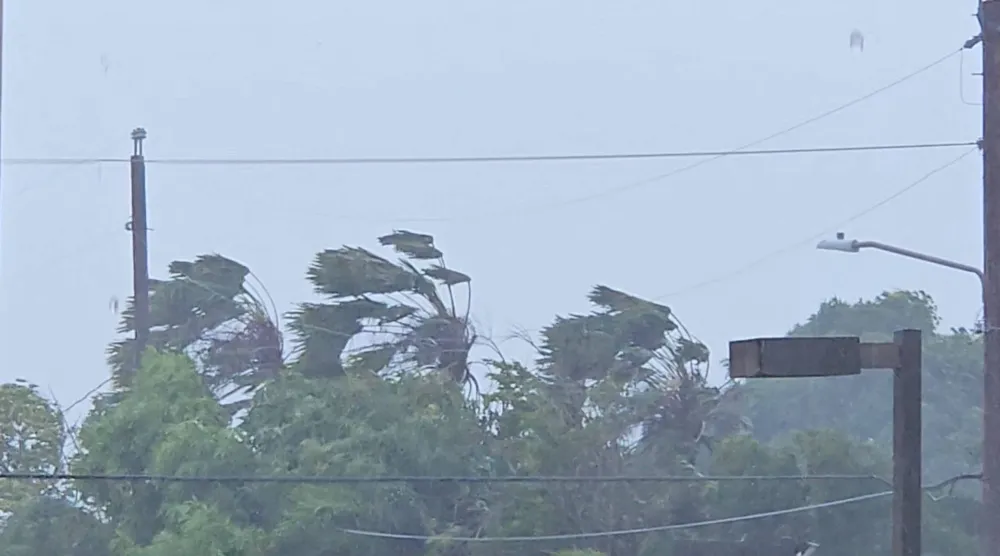 Trees sway in strong winds as Super Typhoon Sinlaku approaches, in Saipan, Northern Mariana Islands, US, April 14, 2026 in this screengrab obtained from a social media video. (Jhon Aaron Borinaga via Facebook/via Reuters)