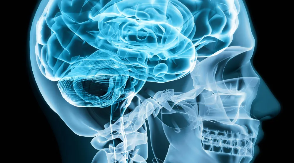 يواصل الباحثون والأطباء في مستشفى هيوستن ميثوديست جهودهم لتوحيد مسارات البحث والتكنولوجيا ورعاية المرضى (الشرق الأوسط)