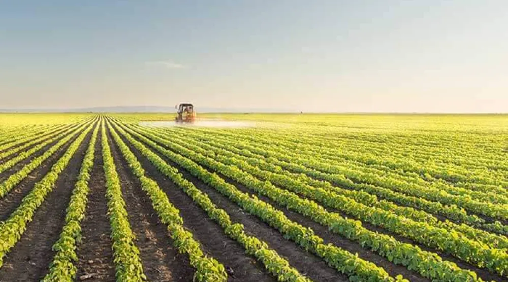 إحدى المزارع في السعودية (المعرض الزراعي السعودي)