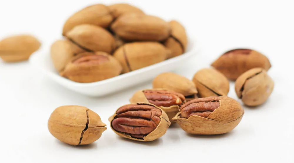 جوز البيكان نوع من المكسرات يُستخرج من أشجار الجوز «الأميركي - الهيكوري» التي تنمو في شمال المكسيك وجنوب أميركا (بيكساباي)