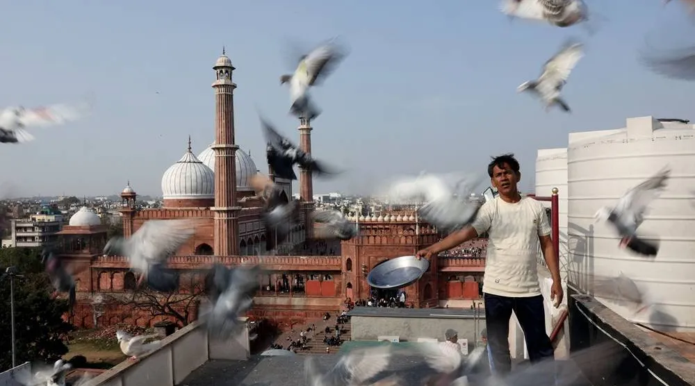  Mohammed Rashid, alias "Rambo", a kabootarbaaz (pigeon keeper) feeds his pigeons as he trains them, on the rooftop of a restaurant in the old quarters of Delhi, India, January 24, 2026. (Reuters)