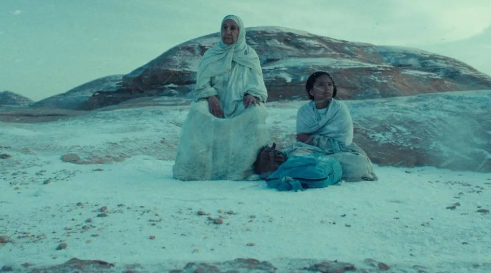 فيلم «هجرة» حصد جائزة مهرجان أسوان (إدراة المهرجان)