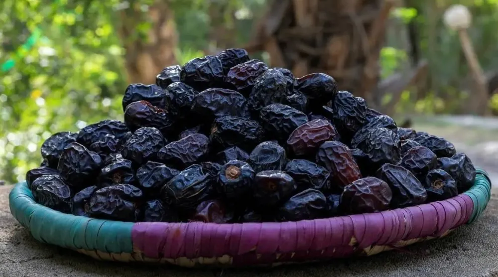 تمتلك المدينة المنورة ميزة نسبية استثنائية في إنتاج التمور وصناعاتها التحويلية (واس)