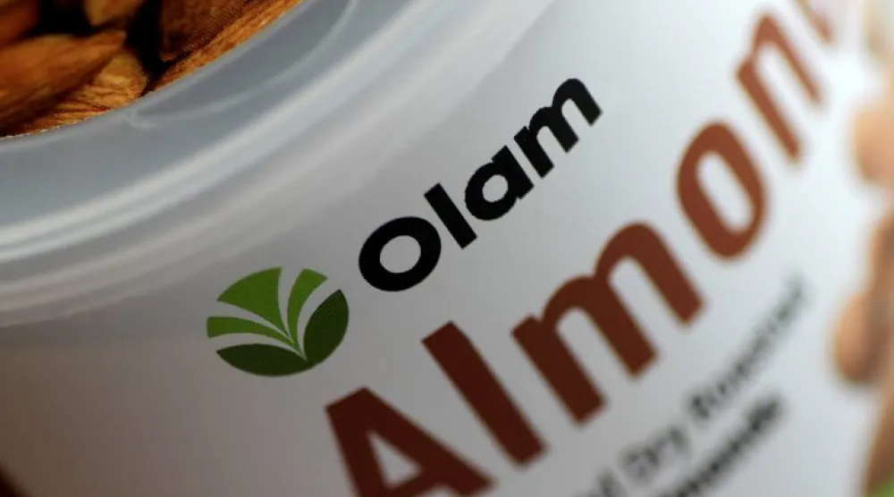 لوز «أولام» (رويترز)