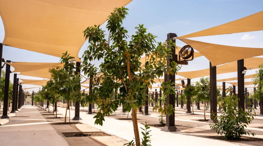 تسهم المساحات الخضراء بشكل مباشر في تلطيف المناخ وتخفيف درجات الحرارة (كدانة)