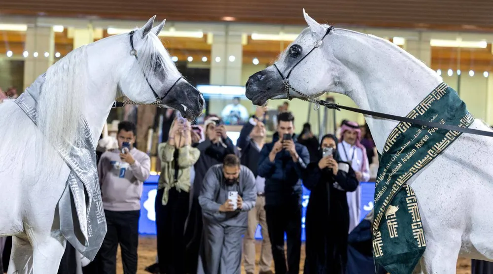 مهرجان بطولة العالم لخيل الجزيرة 2026 (الشرق الأوسط)