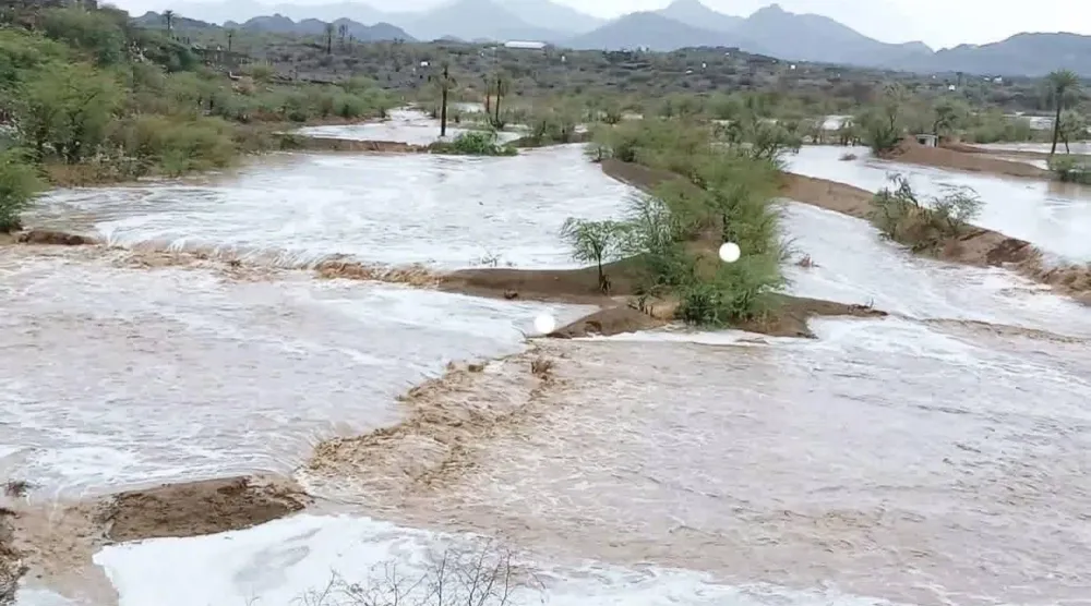 السيول في اليمن جرفت الأراضي الزراعية والثروة الحيوانية (إعلام محلي)