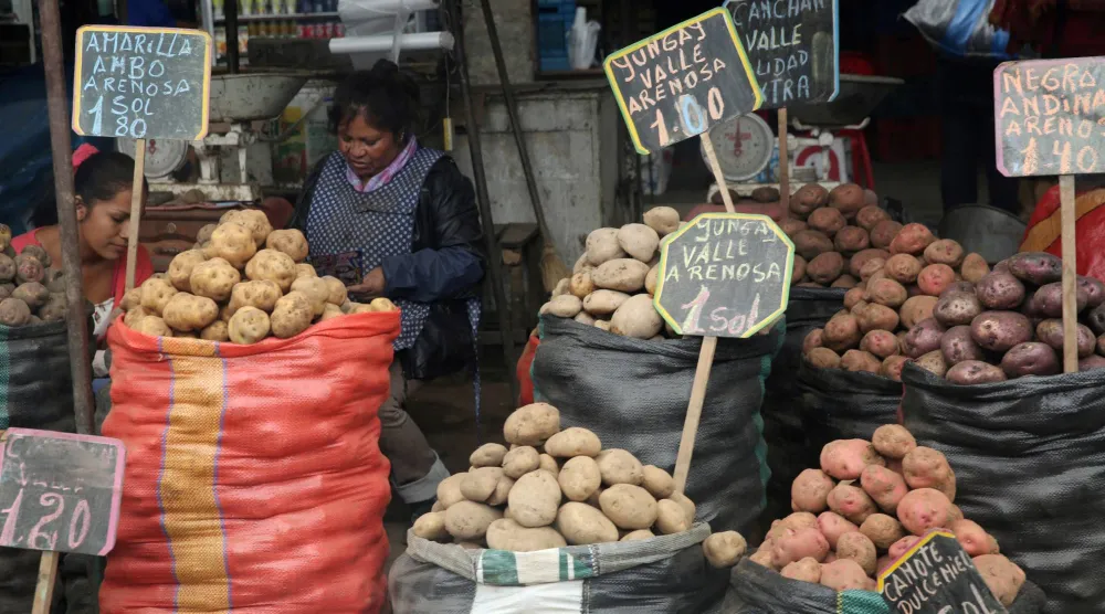 FILE PHOTO: A woman sells potatoes at La Parada market in La Victoria district of Lima, Peru, June 14, 2017. REUTERS/Mariana Bazo/File Photo