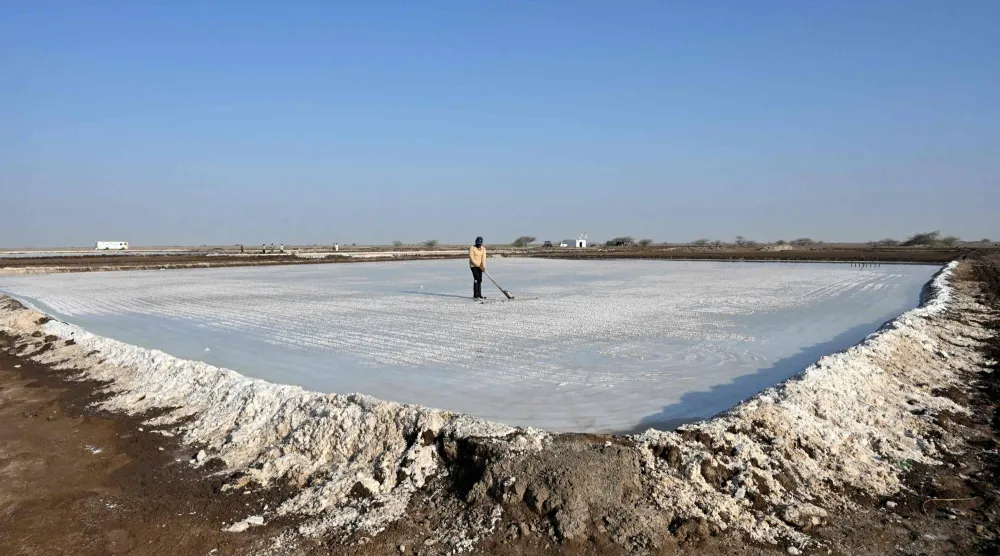 A worker harvests salt at the Little Rann of Kutch (LRK) region of Gujarat on April 29, 2026. (AFP)
