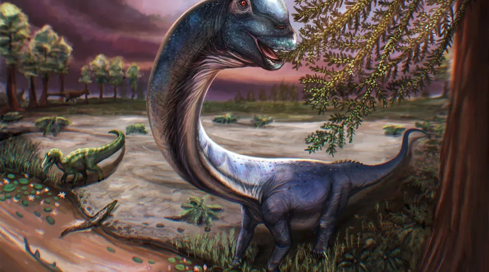 Artist reconstruction of the Cretaceous Period sauropod dinosaur Nagatitan chaiyaphumensis, whose fossils were unearthed in Thailand, seen in this illustration released on May 14, 2026. Patchanop Boonsai/Handout via REUTERS