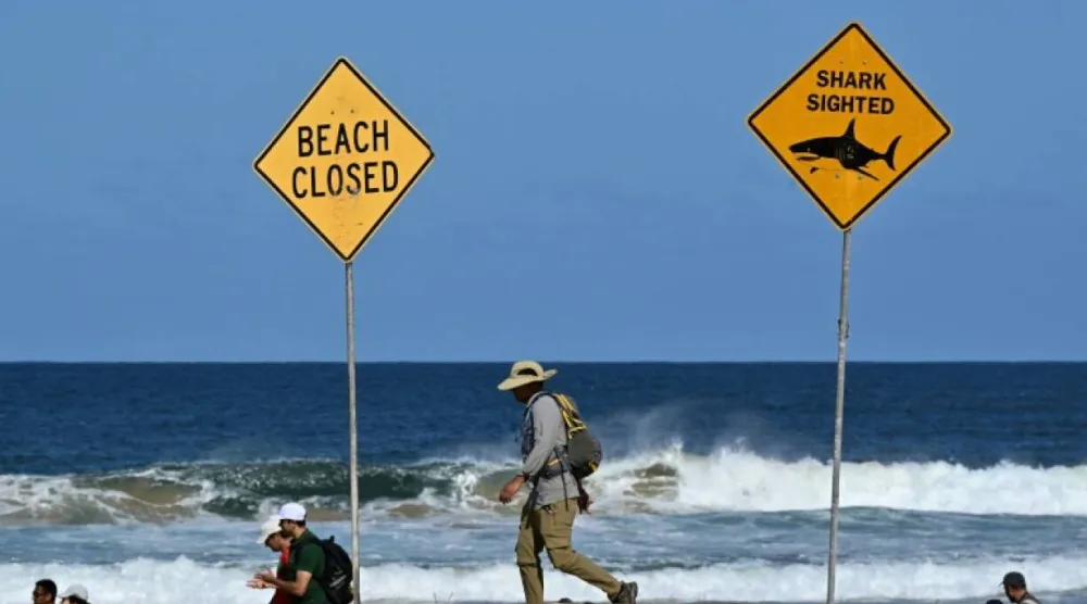 State authorities ‌advised people ‌to take extra caution in the water at ‌Rottnest Island, a popular tourist ‌destination. (AFP file)