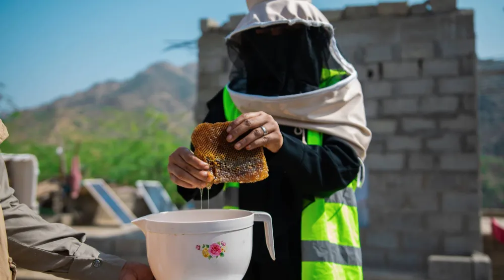 يمنية في محافظة حجة تجني العسل بعد أن تلقت تدريباً ودعماً لتربية النحل (الأمم المتحدة)