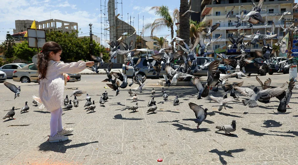 طفلة في الربعة تطعم طيور الحمام في إحدى ساحات صور (إ.ب.أ)
