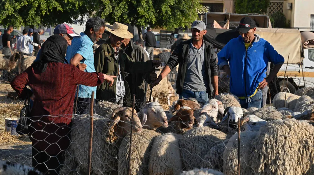 ألقت الرئاسة التونسية باللوم على شبكات المضاربة بسبب الارتفاع الكبير للأسعار الذي ازداد وطأة بمناسبة عيد الأضحى (أ.ف.ب)