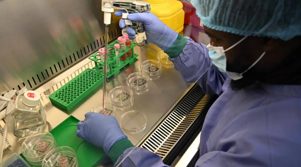 In this photo taken on May 5, 2026, senior scientific specialist Kwaku Dad Abu Bonsrah pipettes nutrients onto neurons on Micro Electrode Array (MEA) chips at Cortical Labs' Physical Containment Level 2 (PC2) laboratory in Melbourne. (Photo by William WEST / AFP)