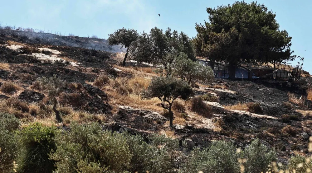 Smoke rises after Israeli settlers reportedly set fire to agricultural fields surrounding the village of Taybeh, in the Israeli-occupied West Bank on June 10, 2026. (AFP)