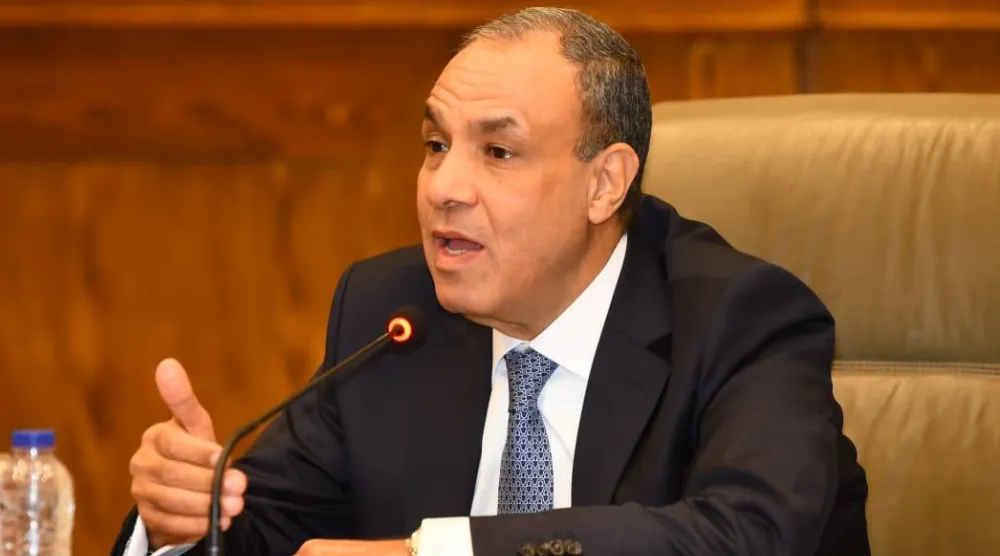 وزير الخارجية المصري بدر عبد العاطي («الخارجية» المصرية)
