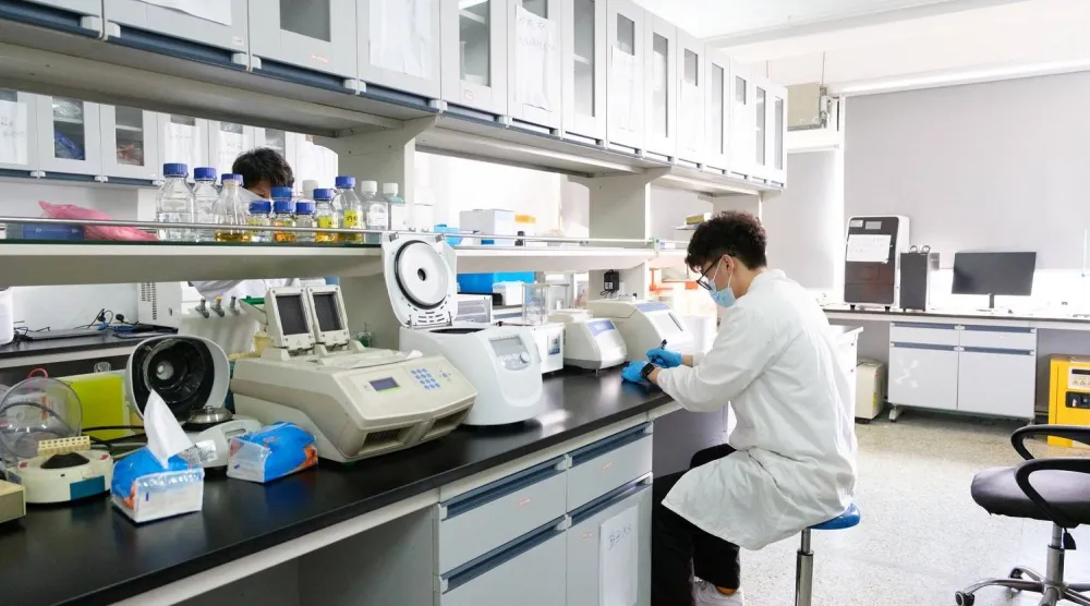 الفريق استخدم روبوتات دقيقة لاستهداف سرطان المثانة (جامعة أدنبره)