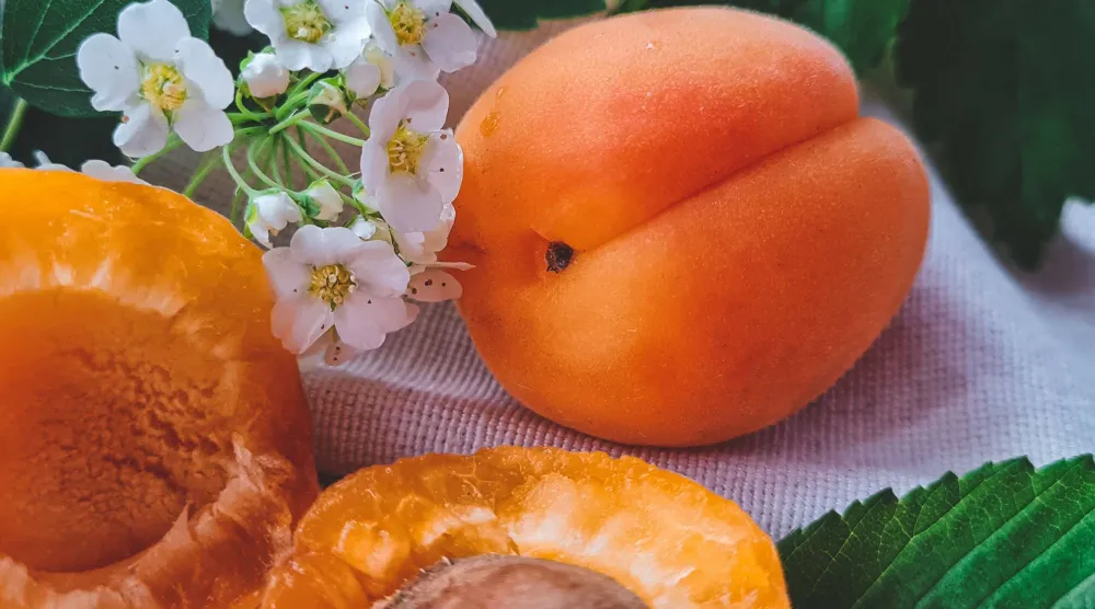 المشمش يُعد مصدراً غنياً بمضادات الأكسدة (بيكسلز)