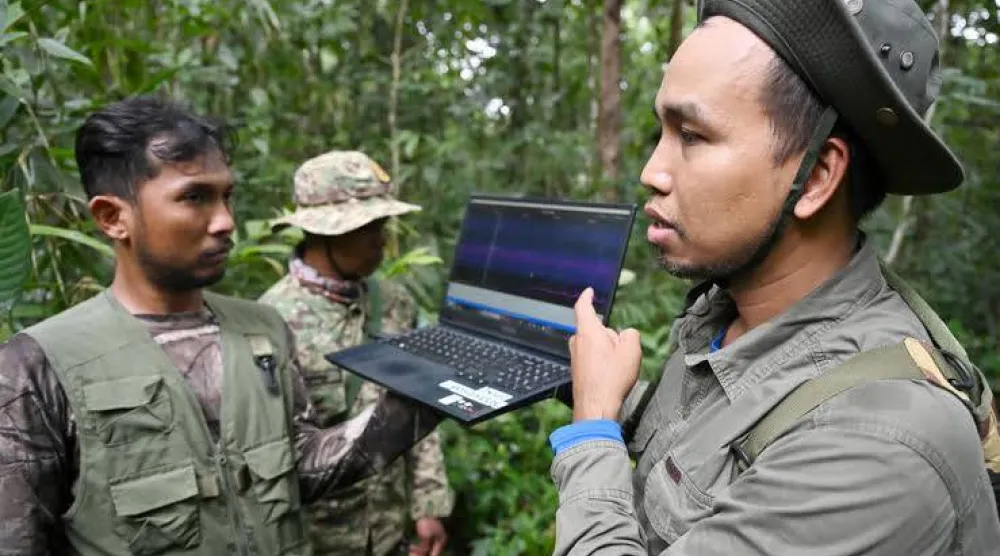 Hidden microphones, cameras and artificial intelligence to reveal the secrets of species living deep in Cambodia's Cardamom Mountains. TANG CHHIN Sothy / AFP
