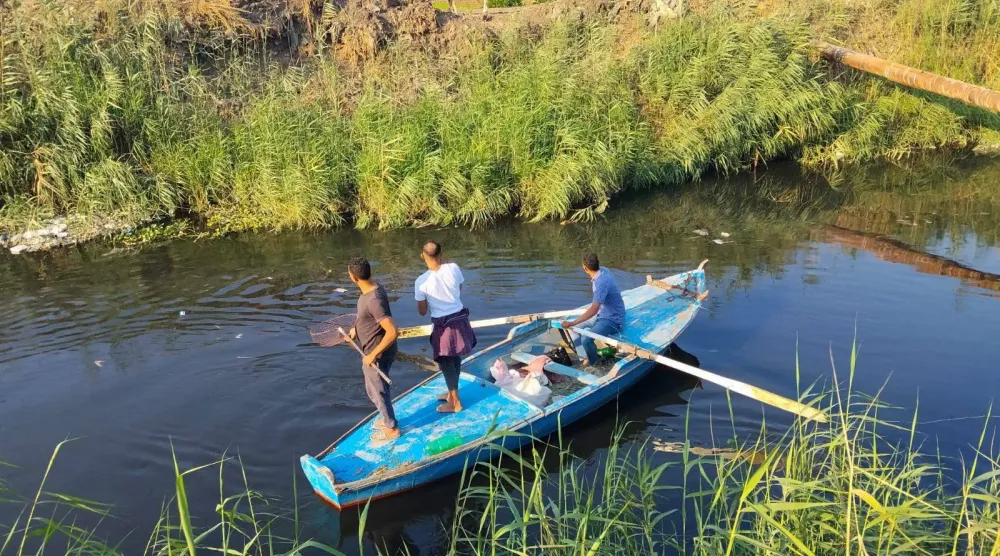 جانب من أعمال البحث عن تمساح بالقليوبية (محافظة القليوبية)