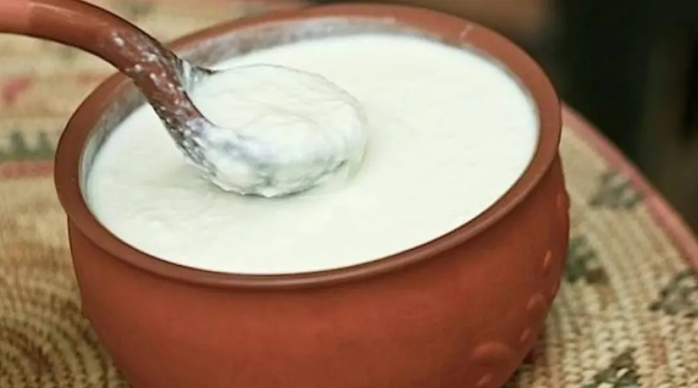 توجد البروبيوتيك في الزبادي اليوناني والعادي (رويترز)