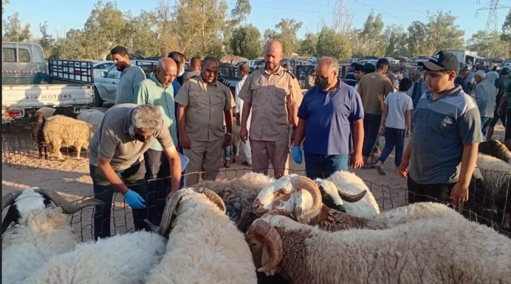 عناصر الشرطة الزراعية في إحدى المزارع المشتبه بوجود إصابات بالحمى القلاعية فيها (الشرطة الزراعية)