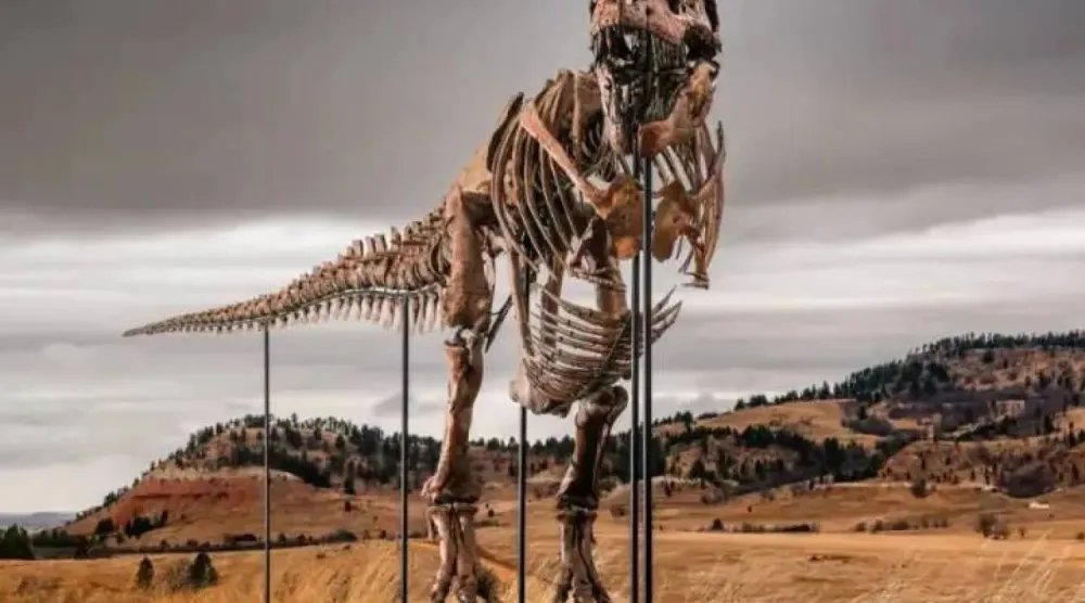 A Tyrannosaurus Rex dinosaur (Sotheby's) 