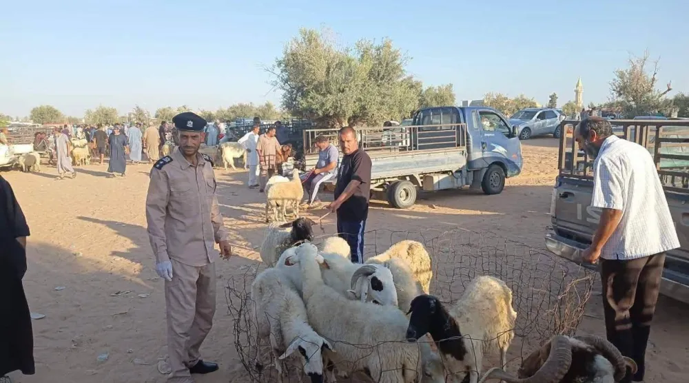 سوق لبيع المواشي والأغنام في الزاوية (الشرطة الزراعية)