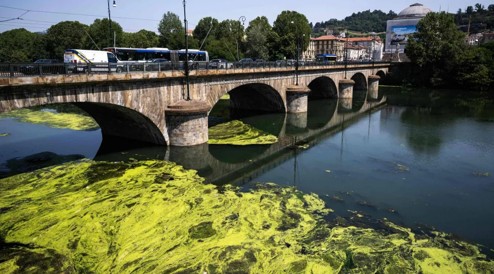 The picture shows algae covering the surface of the Po River near Vittorio Emanuele I Bridge in Turin, northwestern Italy, on July 14, 2026. (Photo by Marco BERTORELLO / AFP)