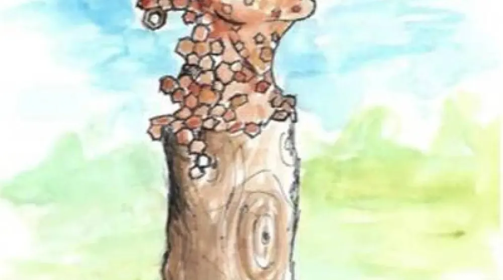 'Penleigh Queen Bee' will raise awareness of declining bee populations (Brendon Murless/BBC) 