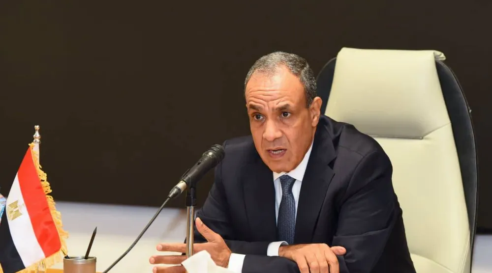 وزير الخارجية المصري بدر عبد العاطي (وزارة الخارجية)