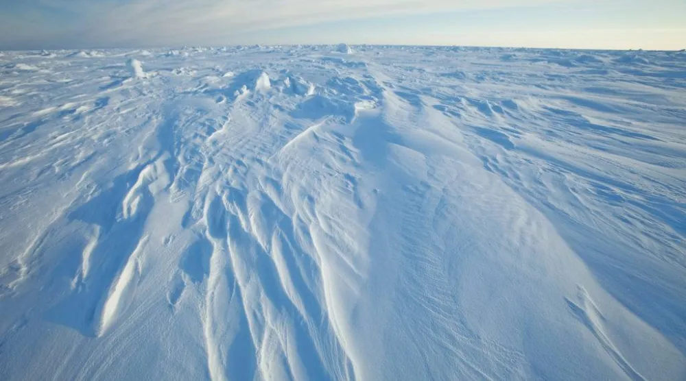 Wind patterns are left in the ice pack that covers the Arctic Ocean north of Prudhoe Bay, Alaska March 18, 2011. (Reuters)