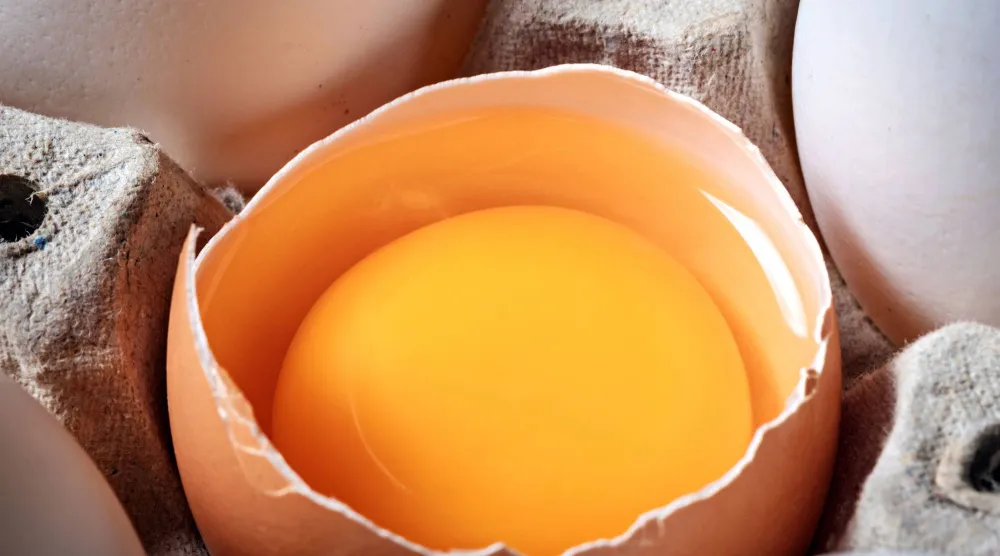 البيض (بيكسلز)