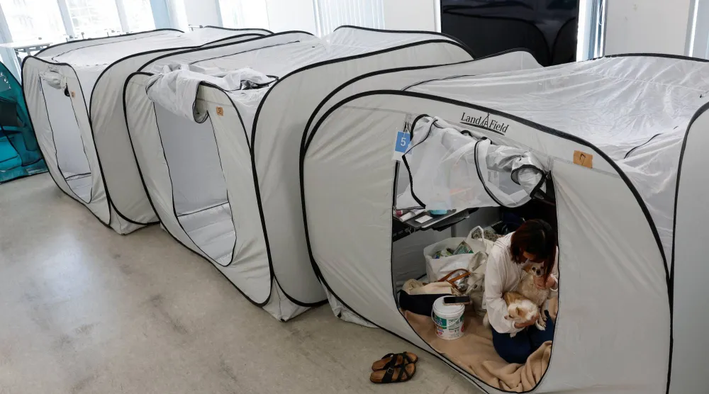 Tomoko Takaoka, 31, who evacuated from Uki with her pet dogs Chihuahua Ku (7) and Chihuahua mixed with poodle Sheri (8), after a preliminary magnitude 7.1 earthquake struck Japan's southern Kumamoto Prefecture, sits in a tent at the Kyushu Animal Academy in a shelter for evacuees with pets in Kumamoto, Japan, July 31, 2026. REUTERS/Kim Kyung-Hoon