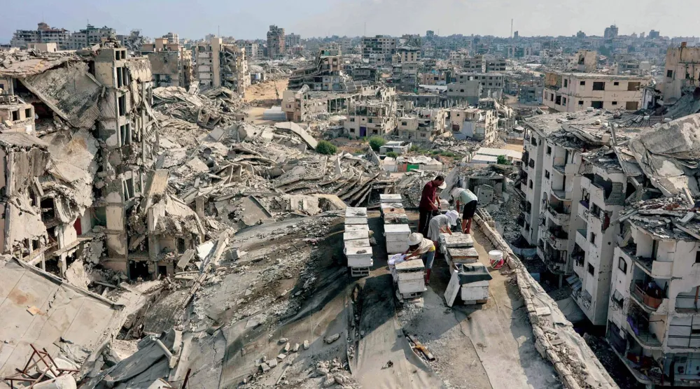  فلسطيني يعتني بخلايا النحل مع أبنائه على سطح مبنى مدمر في حي تل الهوا بمدينة غزة أمس (أ.ف.ب)