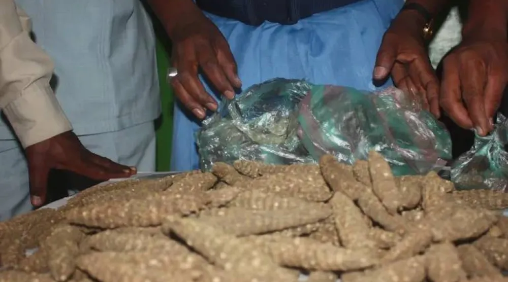 السلطات السودانية تقوم بحملات متواصلة لضبط كميات كبيرة من الخدرات  (الجمارك السودانية)