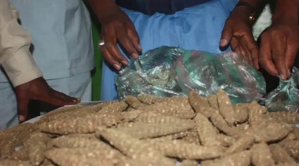 Sudanlı yetkililer, büyük miktarlarda uyuşturucu ele geçirmek için aralıksız operasyonlar yürütüyor. (Sudan Gümrük İdaresi)