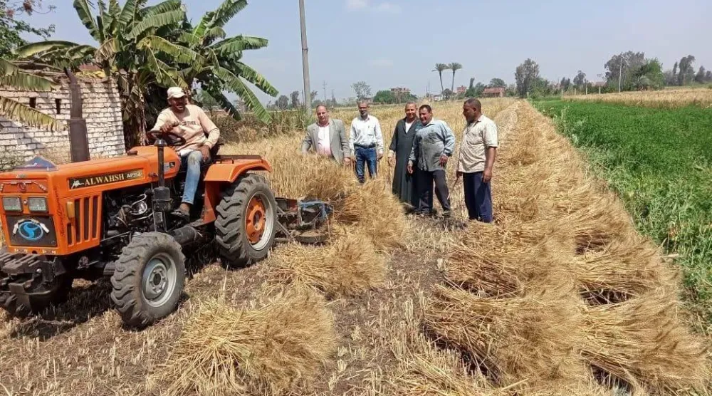 الحكومة المصرية تعمل على زيادة مساحات القمح المنزرعة (صفحة وزارة الزراعة على «فيسبوك»)