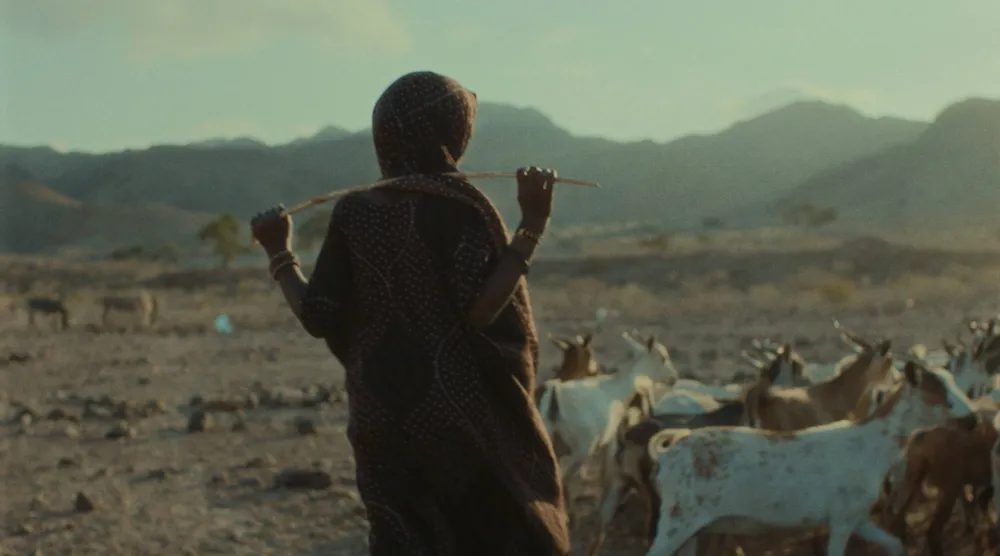 صور الفيلم في وقت قصير بسبب مشكلات التمويل (مهرجان لوكارنو)