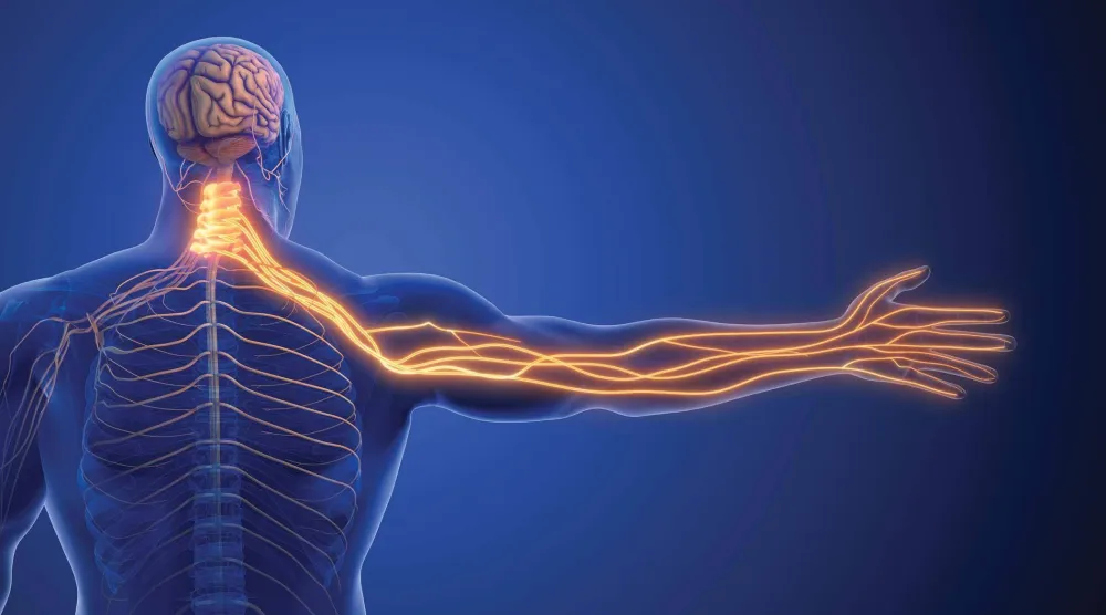 دليلك لمواجهة مشكلة «انضغاط العصب»