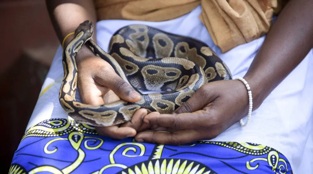 A follower of the Python Temple attends the annual Mask Festival in Porto-Novo, Benin, July 25, 2026. REUTERS/Charles Placide Tossou